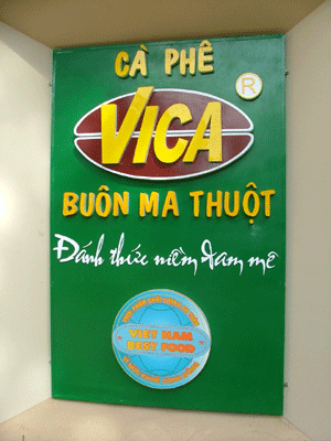 vica-1